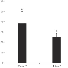 Image result for Monocymbium