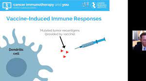 Cancer Vaccines Preventive And Therapeutic Cancer Research Institute Cri