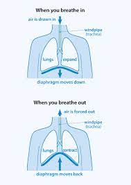 Briskly run up two flights of stairs or walk six blocks. How Can I Manage My Breathlessness British Lung Foundation
