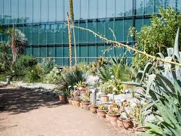 À menton, les vraies stars sont les plantes… dans la chaleur de la célèbre station de la côte d'azur s'épanouit, entre science et plaisir des sens, un jardin. Toulouse Le Museum Et Le Jardin Botanique Escapades Etc