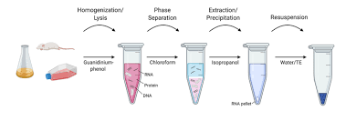 With this free online tool you can extract images, text or fonts from a pdf file. Addgene Kit Free Rna Extraction