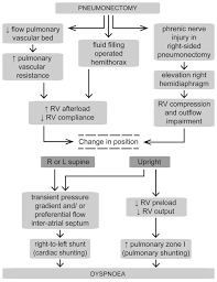 Platypnoea Orthodeoxia Syndrome An Underdiagnosed Cause Of Hypoxaemia Four Cases And The Possible Underlying Mechanisms Abstract Europe Pmc