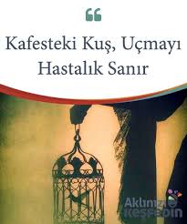 Kafesteki Kus Ucmayi Hastalik Sanir Kuslar Ozgur Olmak Icin Dogar Dolayisiyla Bir Kafese Kapatildiginda Butun Varligi Kucucuk Psikoloji Duygular Kafes