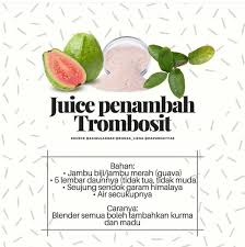 Penambah Trombosit Obat Alami Kesehatan Alami Minuman Detoks