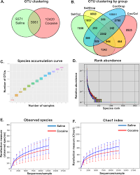 Cocaine research report how does cocaine produce its effects? Cocaine Induces Inflammatory Gut Milieu By Compromising The Mucosal Barrier Integrity And Altering The Gut Microbiota Colonization Scientific Reports