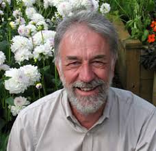 New and improved Sweet William