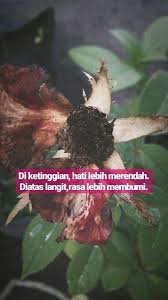 Fiera Besari Perasaan Puisi Kutipan