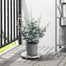 En vase ou en pot, l'eucalyptus est votre meilleur allié déco l'eucalyptus fait partie de ces végétaux dont la seule. Fejka Plante Artificielle En Pot Interieur Exterieur Eucalyptus Ca Fr Ikea