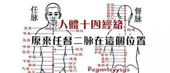 è©è²ç©´ í¨ë¥ì ëí ì´ë¯¸ì§ ê²ìê²°ê³¼