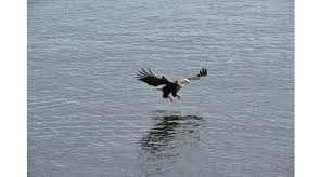 There's a beautiful story behind this photo