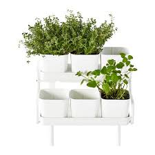 Ikea Nederland Interieur Online Bestellen Ikea Plants Herb Garden In Kitchen Potted Plants