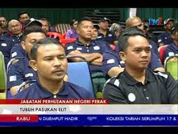 The latest tweets from hutan perak (@hutanperak). Jabatan Perhutanan Negeri Perak Tubuh Pasukan Elit 15 Nov 2017 Youtube