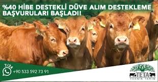Teta Teknik Tarim Ciftlik Yonetimi Sagim Sistemleri Suru Yonetim Sistemi Ve Otomasyon Gubre Yonetimi Ahir Ici Ve Diger Ekipman Yem Parcalama Karma Ve Dagitma Makineleri