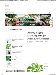 0 ratings0% found this document useful (0 votes). Aprende A Cultivar Stevia La Planta Que Puede Curar La Diabetes Ecocosas Fertilizante Botanica