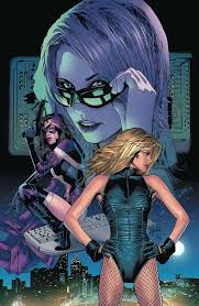 Dc Comics Birds Of Prey Art Pin On Dc Comics