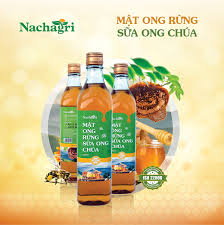Mua Mật Ong Rừng Sữa Ong Chúa Nachagri | Tiki