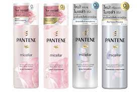 ดีท็อกซ์หนังศีรษะมันด้วยแชมพูแพนทีนไมเซล่า | Pantene TH