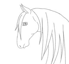 And we are talking about the legendary ford mustang. How To Draw A Horse S Head Step By Step Guide Horsey Hooves