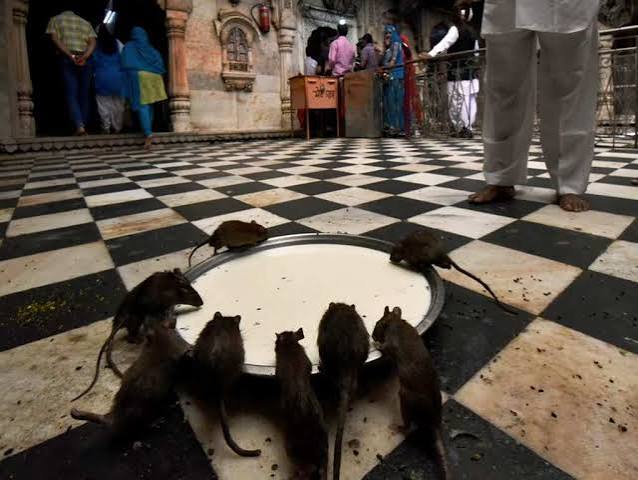 11 Most Unusual Festivals of India | Feature Articles | Solitary Traveller