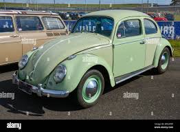 Image result for Pastel Green 1949 Beetle