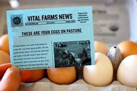 The vegan eggs come in flavours choc orange and choc honeycomb. 3 Egg Brands You Can Trust Eating Made Easy