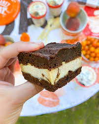 Holidays call for special desserts! Healthy Brownie Frozen Dessert Sandwiches Gluten Free Dairy Free Liz Moody
