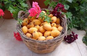 Anche le fragole possono essere importanti per la buona salute dell'intestino e per le infiammazioni croniche, per la colite ulcerosa, per l'infiammazione del colon. Le Combinazioni Alimentari Per Il Colon Irritabile Cure Naturali It