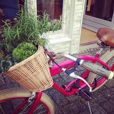 Pretty Bike With Plants In A Basket Bike Oldenburg Latergram In 2020 Pretty Bike Bike Bicycle