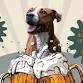 Music Bingo With Pet Savers at Great Raft Brewing