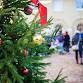 Festive Fun at Walmer Castle event image