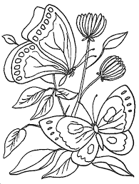 Watercolor, pencil, watercolor paper 300gsm #artobycampap. Lukisan Rama Rama Hinggap Di Bunga Cikimm Com Lukisan Rama Rama Mudah Cikimm Com Cara Mengg Butterfly Drawing Butterfly Coloring Page Art Drawings For Kids