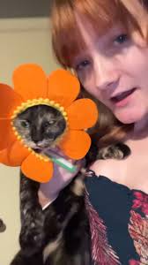 Our unfixed female cat got out sometime last night or this morning. If  anyone in Lewiston near Saint Mary’s Hospital sees her please reach out! DO  NOT CHASE!!!! She was a stray before we took her in ...