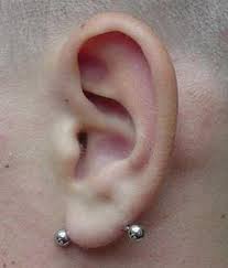 Piercing Na Orelha Lobe Horizontal Jpg 367 430 Ear Lobe Piercings Vertical Hood Piercing Lobe Piercing