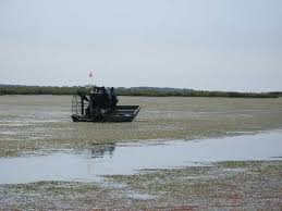 Recipe by shabby sign shoppe. Ss Agr 361 Ag370 Hydrilla Management In Florida Lakes