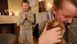 Norske Daniels (11) katt hadde vært på rømmen i 7 måneder