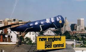 Providence pest control pros can take care of the ant infestation that you are experiencing. 26 The Big Blue Bug Ideas Big Blue Big Blue