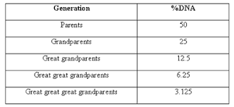 understanding genetics