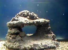 Check spelling or type a new query. New Aquarium With Homemade Rock Youtube