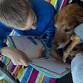 Tales to Tails: A Furry Friend Reading Experience event in Denver, CO