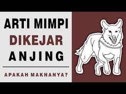 We did not find results for: Mimpi Pedia Youtube