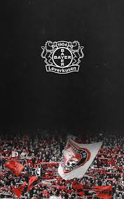 Home » bayern leverkusen , footbal club , football , germany league , logo , sports , wallpapers » bayern leverkusen logo wallpapers hd collection. Goodbye Bayern Leverkusen Wallpapers For Anon