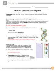 Student exploration natural selection gizmo answer key pdf. Building Dna Docx Name Date Student Exploration Building Dna Vocabulary Double Helix Dna Enzyme Mutation Nitrogenous Base Nucleoside Nucleotide Course Hero