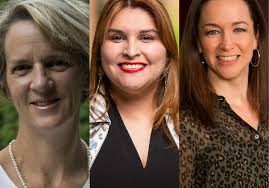 Davis, Villegas and Williams elected fellows in American Academy of Nursing 