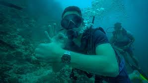 Image result for diving watch