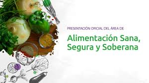 Presentacion Del Area De Alimentacion Sana Segura Y Soberana Junto A Daniel Arroyo Youtube
