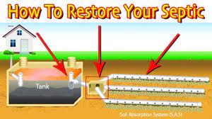 A standard septic tank will separate solids from liquids. Restoring A Septic Drain Field First Steps Least Vs Most Expensive Youtube