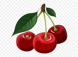Download 466 cherry cliparts for free. Cherry Png Files Cherry Clipart Png Free Transparent Png Images Pngaaa Com