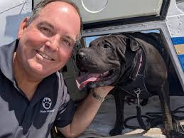 From Shar-Pei Rescue of Virginia: THANK YOU to all of the wonderful  volunteers who helped to safely transport Shadow to her "furever" home  today! A huge thank you to Foster Mommy, Kelly,