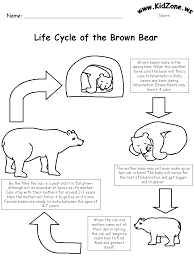 Life Cycle Of A Brown Bear Life Cycles Kindergarten Worksheets The Very Cranky Bear
