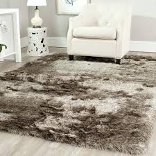 The beater brush (thing that spins when vacuuming carpets/rugs) will be too strong and your carpets will be ruined. Rugs Carpets Low Vs High Maintenance Pile Heights Seriously Happy Homes